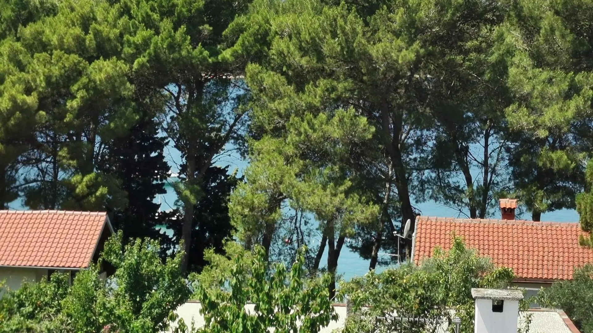 Apartment Apartman Nekic 3 Cres